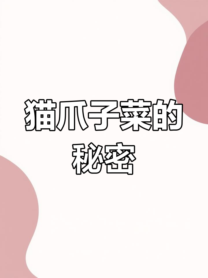 猫爪子菜:一种被忽视的山野美味,东北春天的独特馈赠