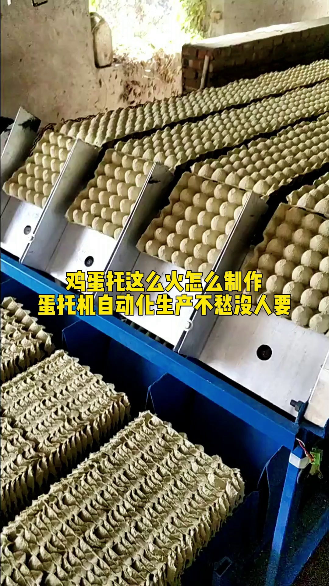 需求量大的鸡蛋托怎么制作,一台自动化设备让你不用发愁 鸡蛋托 蛋托机 蛋托成型机