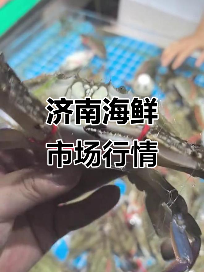 济南海鲜大市场价格速报:黑虎虾、多宝鱼等新鲜货品一览