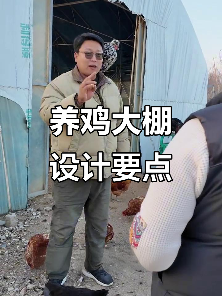 养鸡大棚朝向和门的设计技巧,避免风口损坏