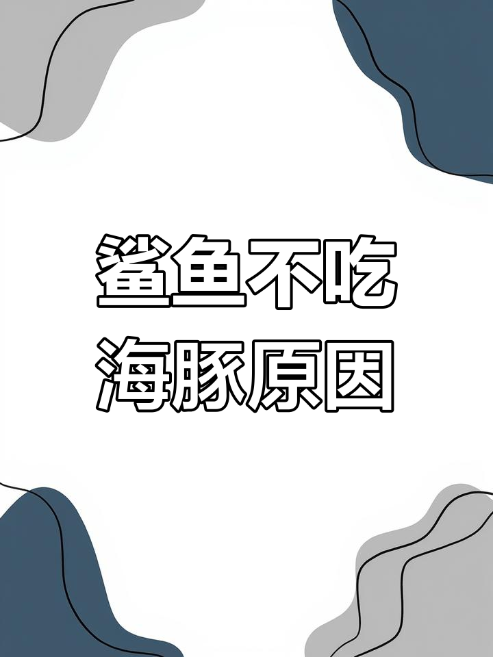 鲨鱼为何不敢吃海豚和鲸?真相竟与实力无关