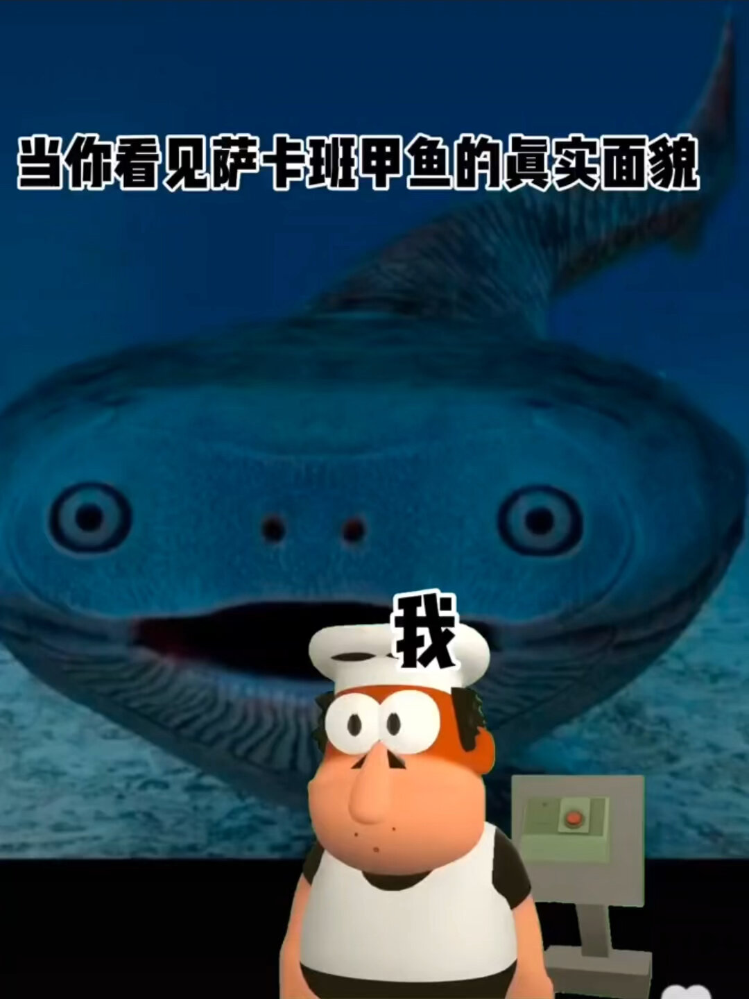 当你看到萨卡班甲鱼的真实面貌