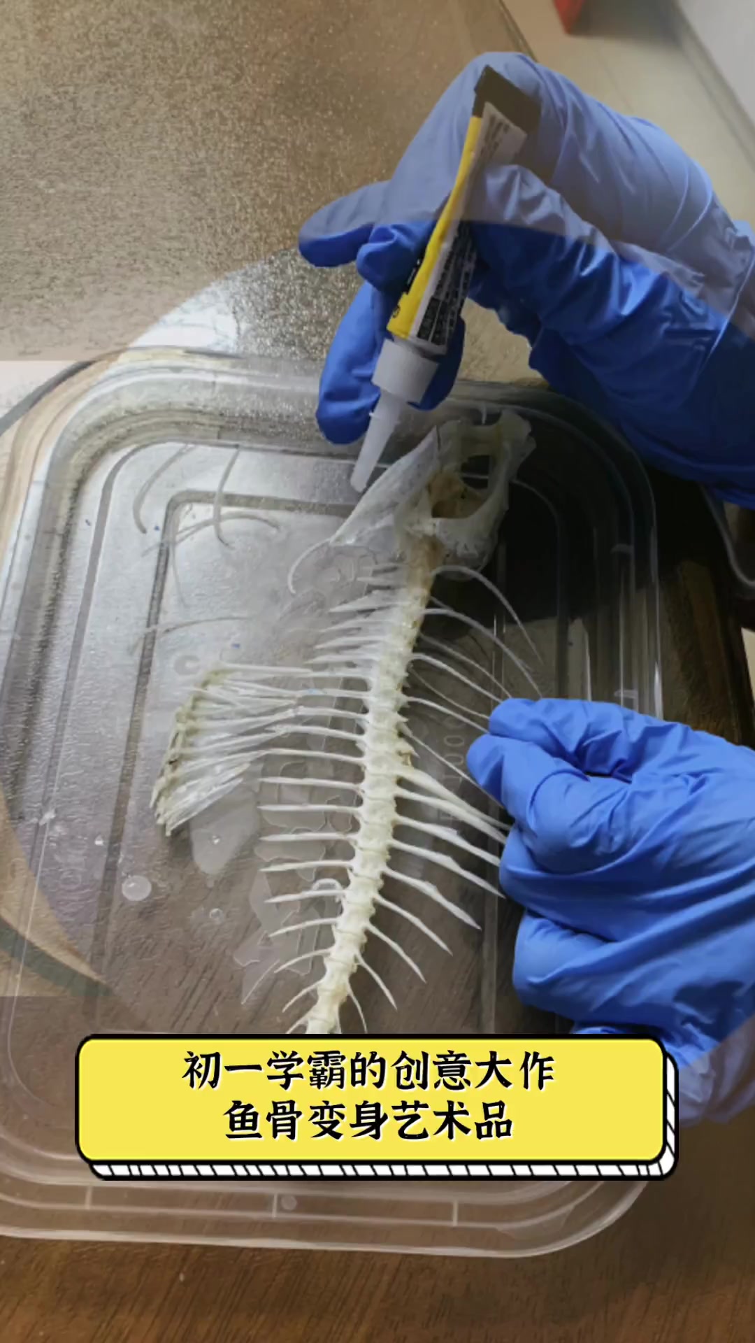 初一学霸的创意大作,鱼骨变身艺术品