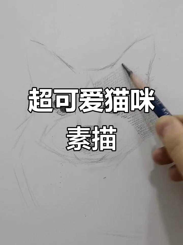 教你用素描画出超级可爱的猫咪头像,步骤超简单!