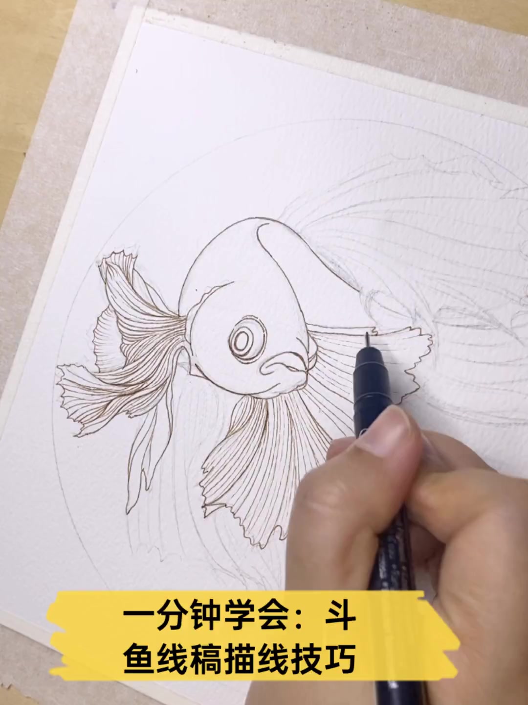 一分钟学会:斗鱼线稿描线技巧