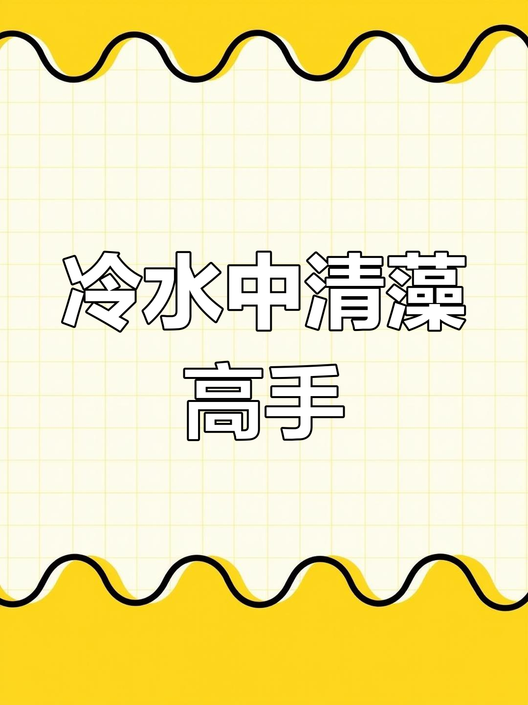 吸鳅鱼:冷水清洁专家,藻类食物为主