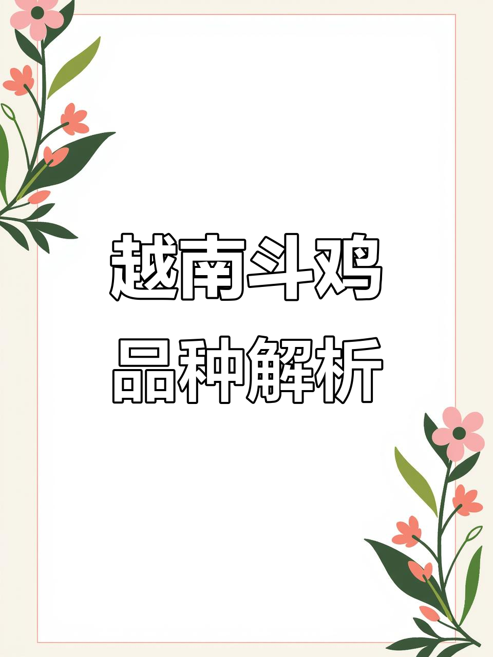 越南斗鸡与土炮串子区别大揭秘,新手必看!