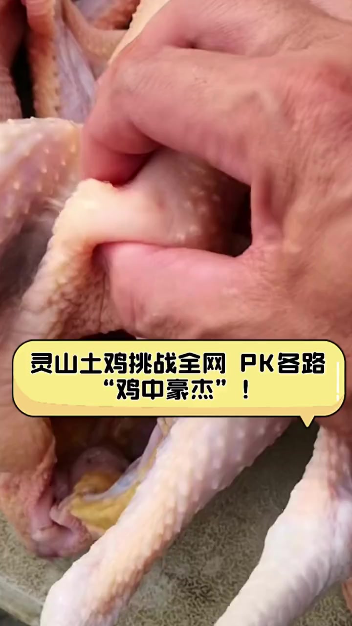 灵山土鸡挑战全网,PK各路“鸡中豪杰”!