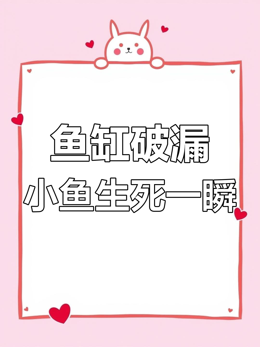 鱼缸漏水,小鲨鱼惨死,幸存者被转移新家
