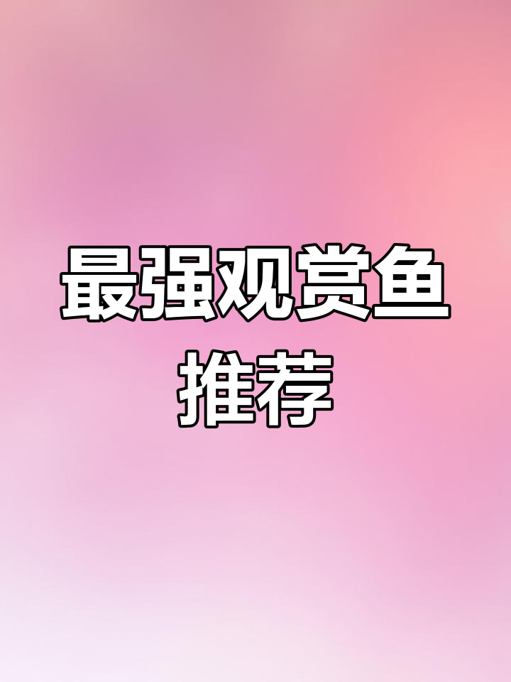 世界上最凶猛的观赏鱼排名