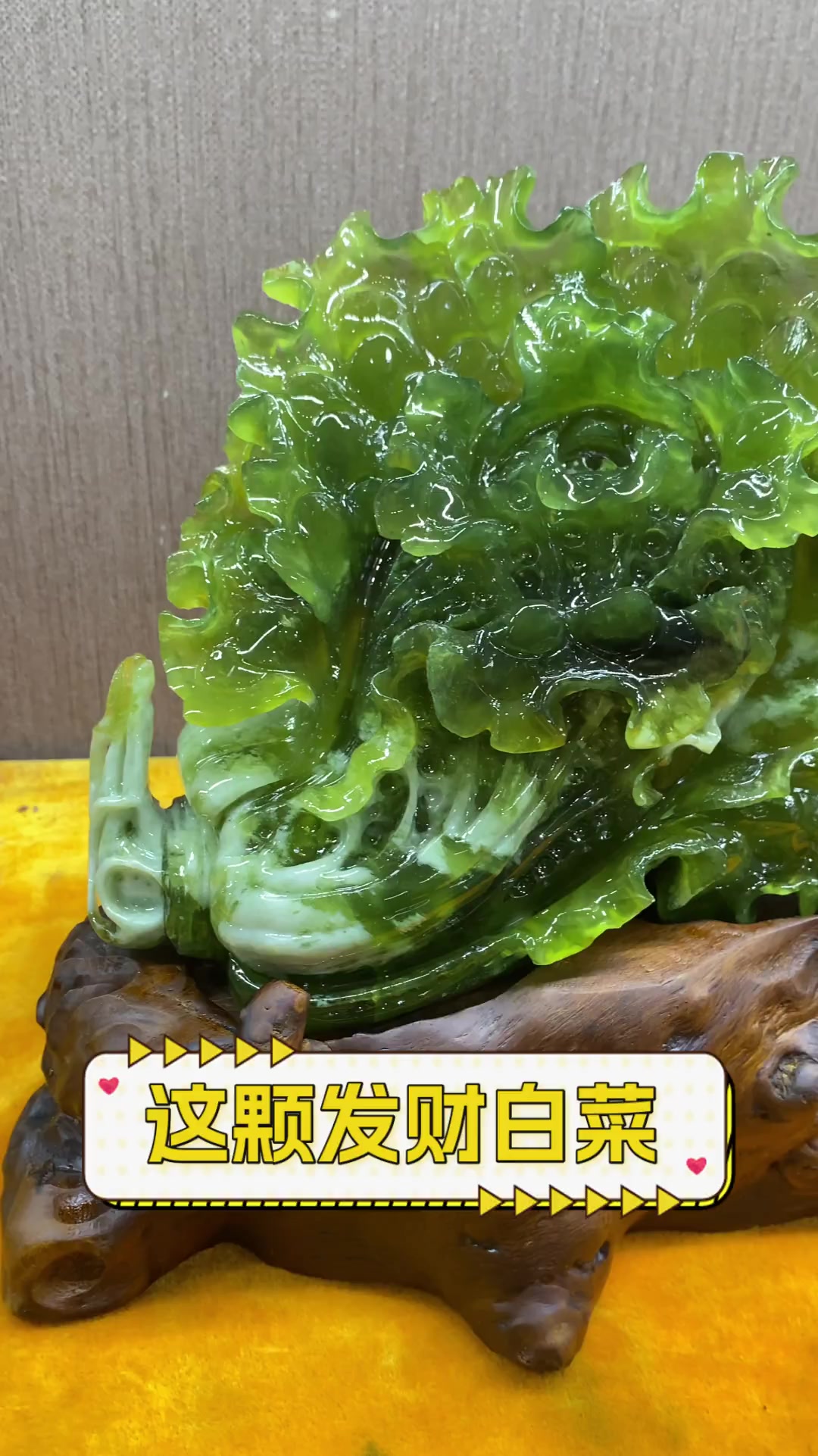 这颗发财白菜