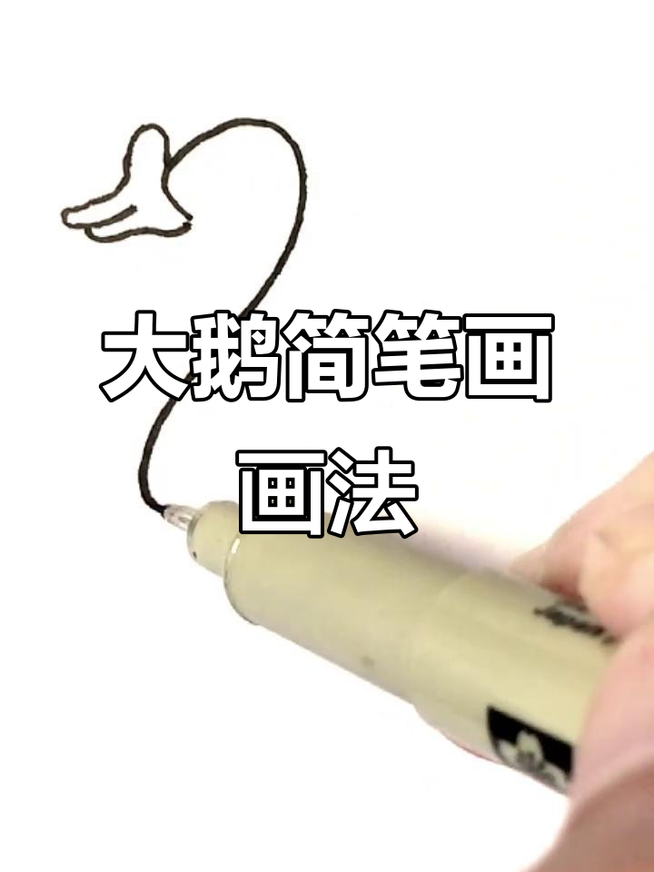 轻松学会大鹅简笔画，简单又有趣