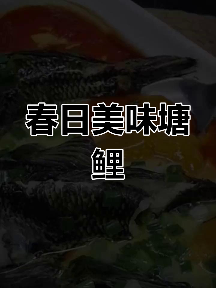 春季塘鲤鲜嫩,口感绝佳,让人回味无穷