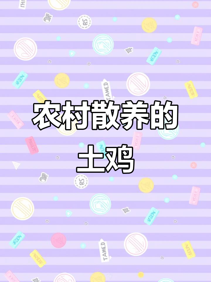 真正的土鸡与果园鸡蛋,七十元一只的散养美味
