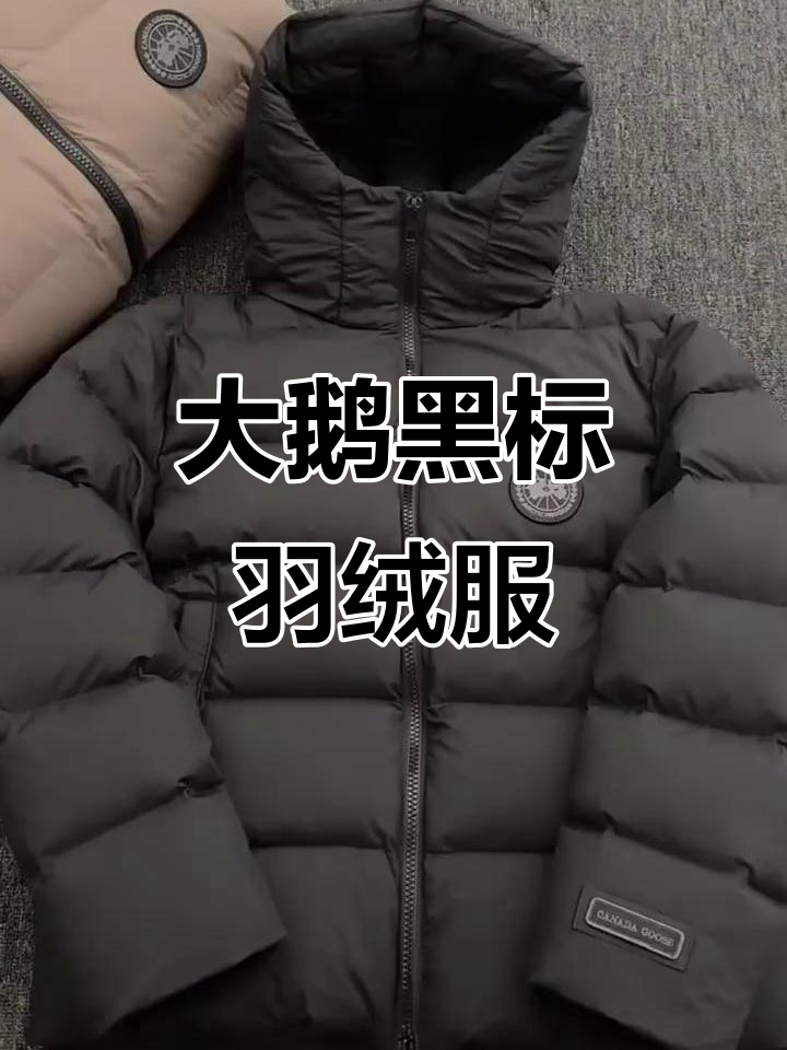 冬季必备！大鹅黑标羽绒服，时尚又保暖