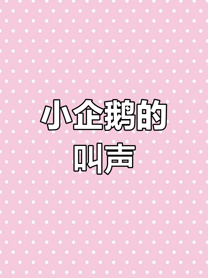 小企鹅宝宝萌叫声,太可爱了!