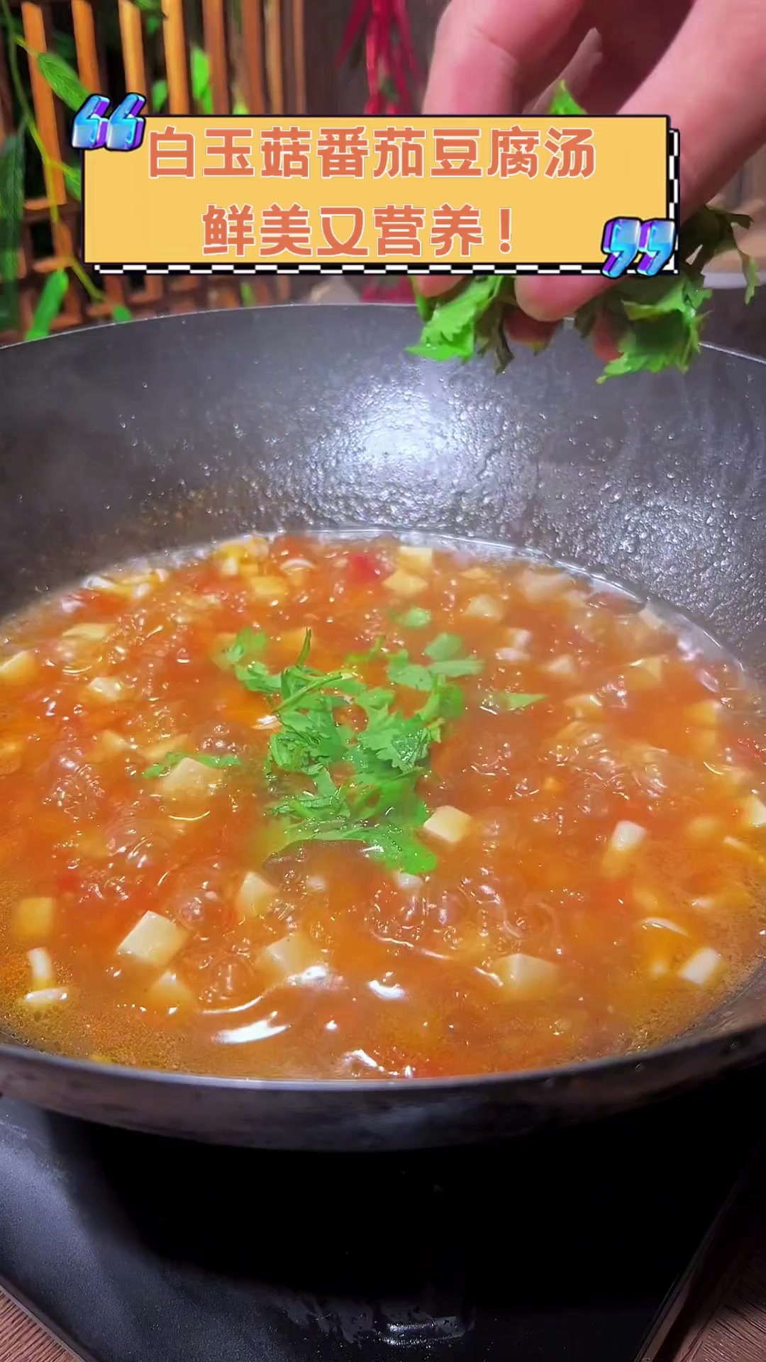 白玉菇番茄豆腐汤,鲜美又营养!