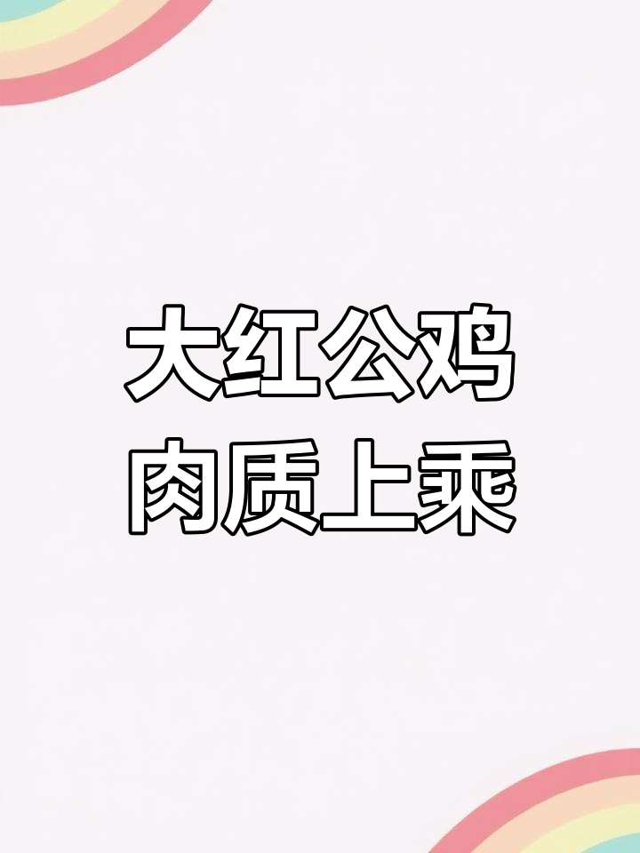苏北草鸡,肉质鲜美,腿长凤二号