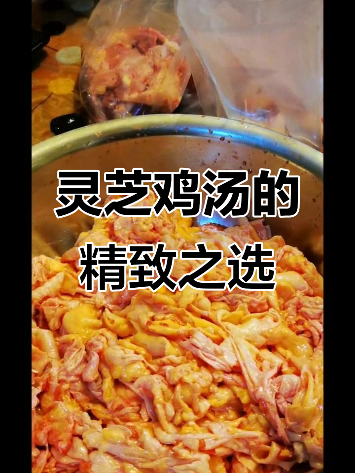 灵芝鸡炖汤,鸡肉鲜嫩,每一口都是极致美味!