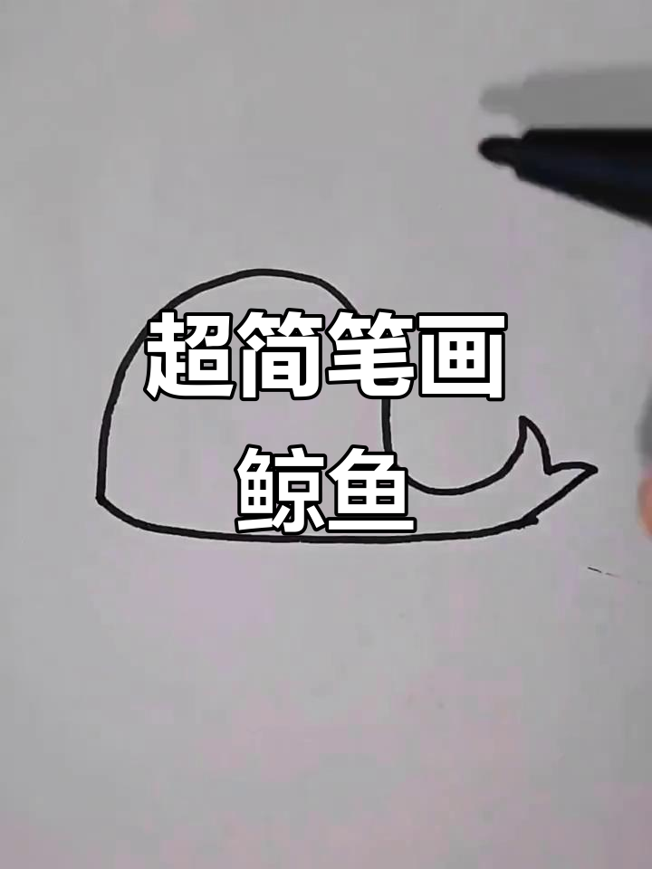 轻松画出可爱鲸鱼,半圆尾巴和眼睛光束超简单