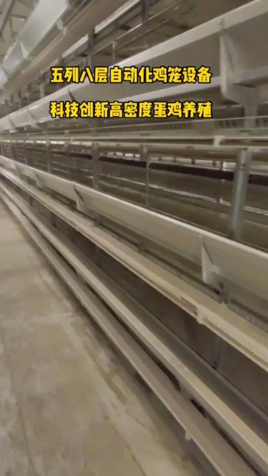金璧盛全自动立体层叠式鸡笼设备蛋鸡养殖
