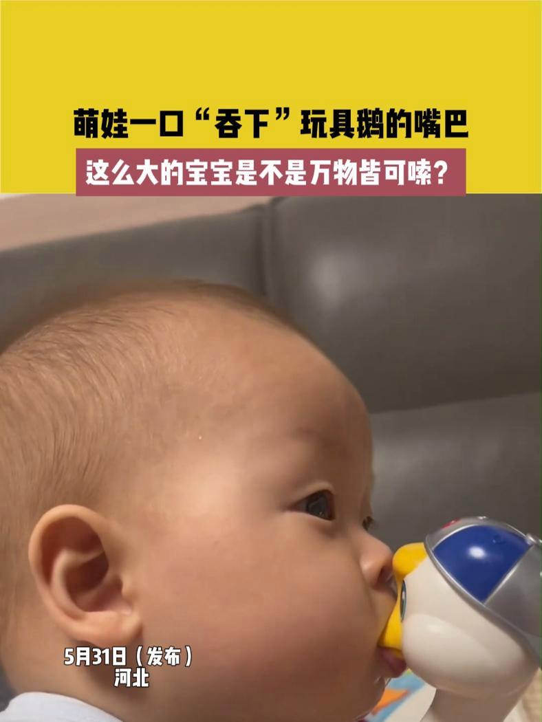 萌娃一口“吞下”玩具鹅的嘴巴,这么大的宝宝是不是万物皆可嗦?人类幼崽