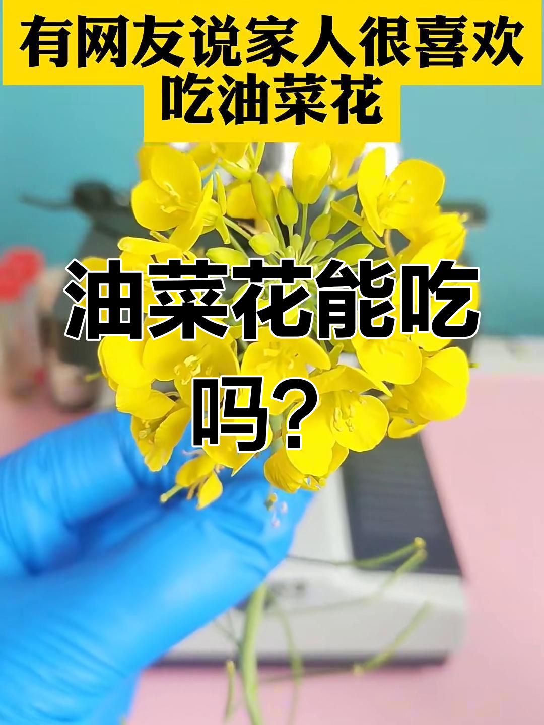 油菜花放大800倍,竟然不能吃!