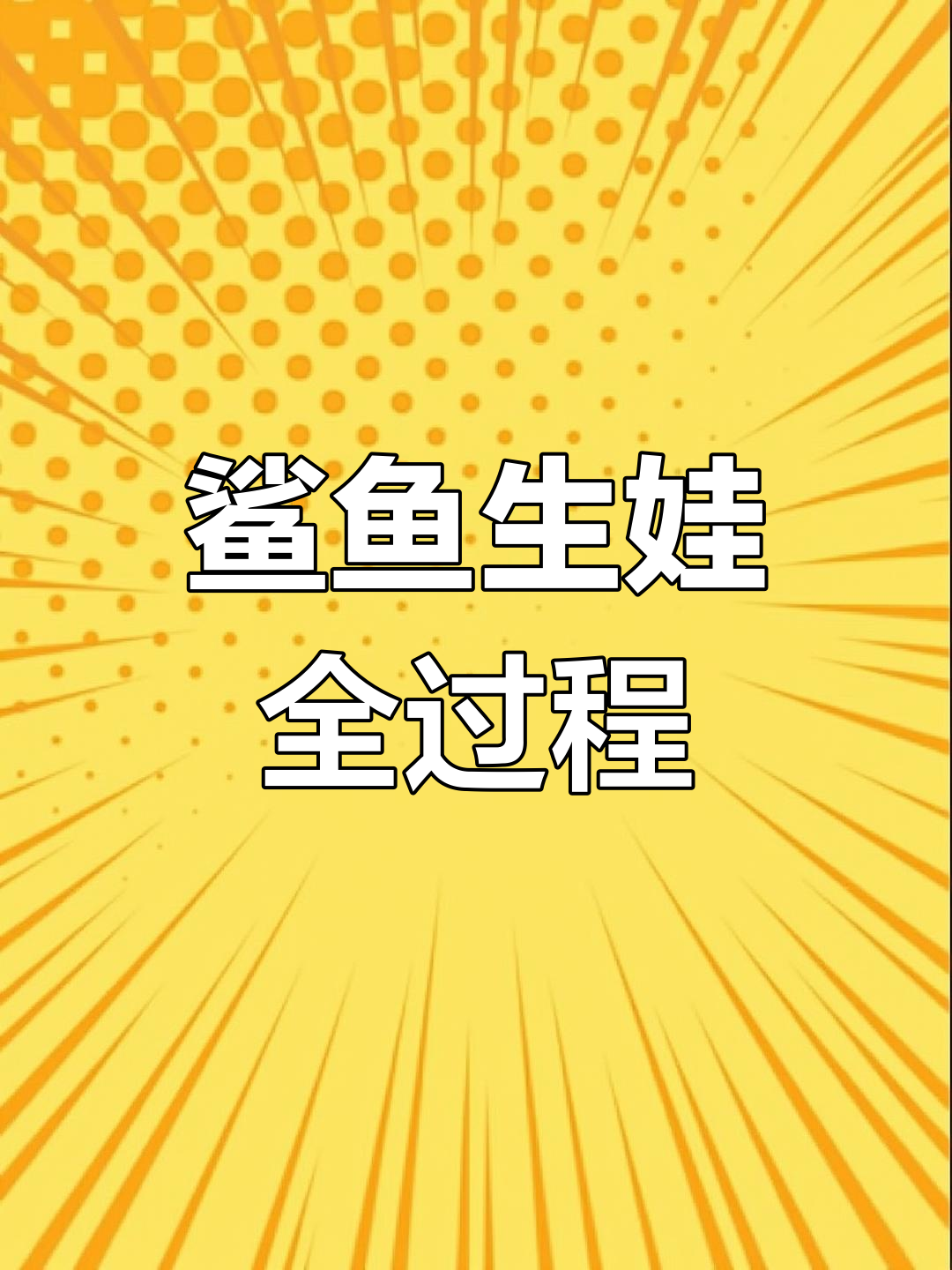 鲨鱼产崽全过程曝光,三只宝宝诞生仅两小时