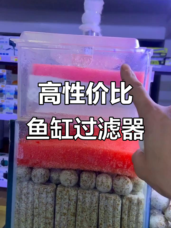鱼缸过滤棉摆放技巧,提高水质与含氧量