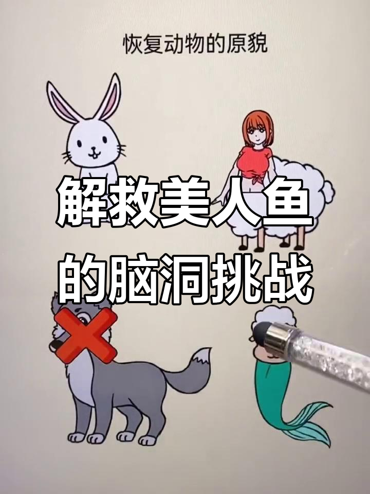 美人鱼被困,石头堆叠大挑战!