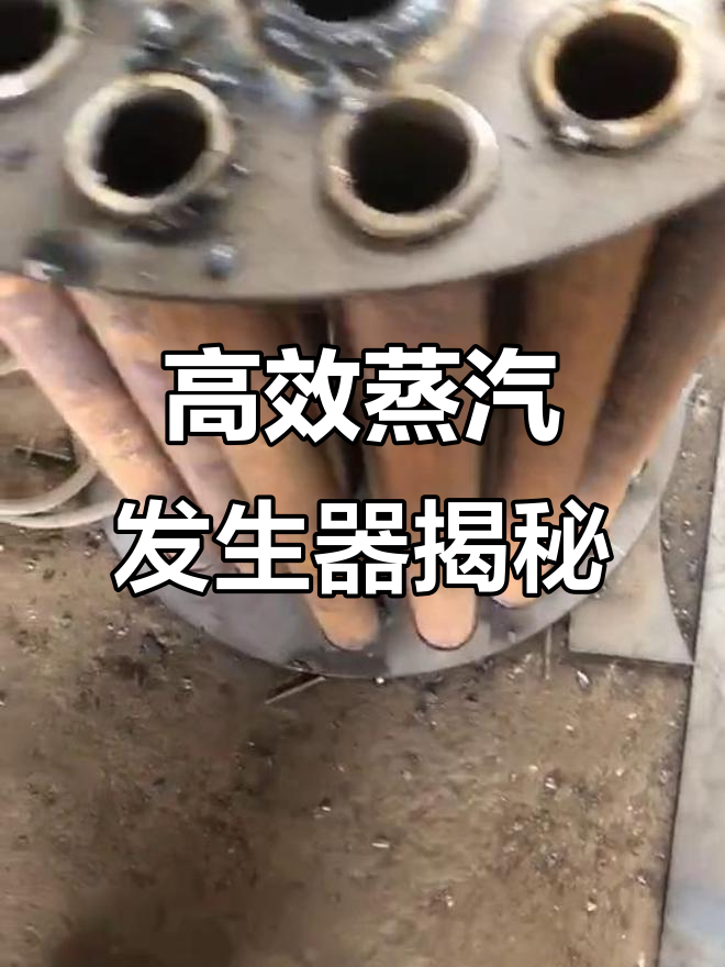 蒸汽发生器高效运行秘诀:密植管与水垢清理技巧