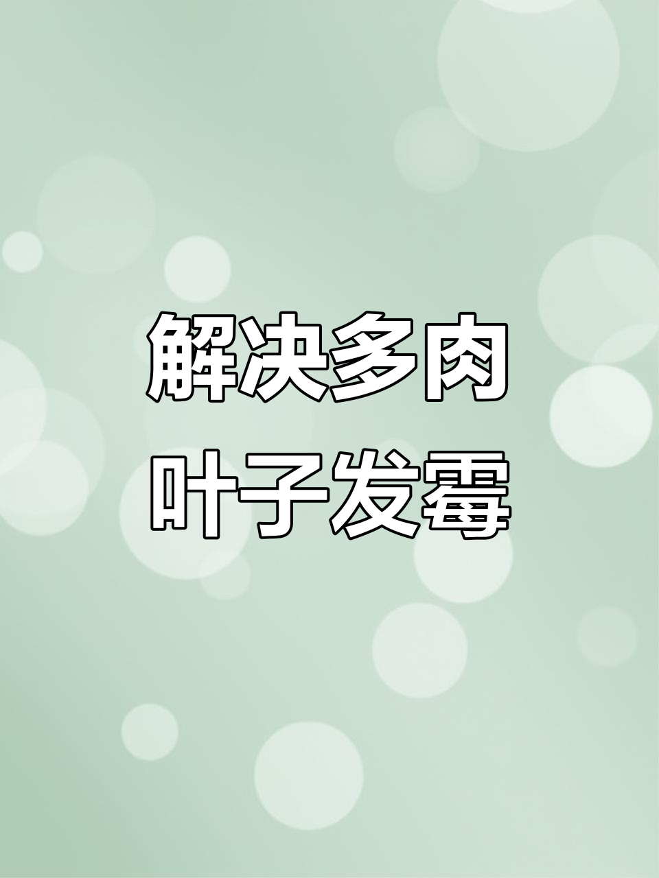 多肉叶子发霉?这些养护技巧帮你解决