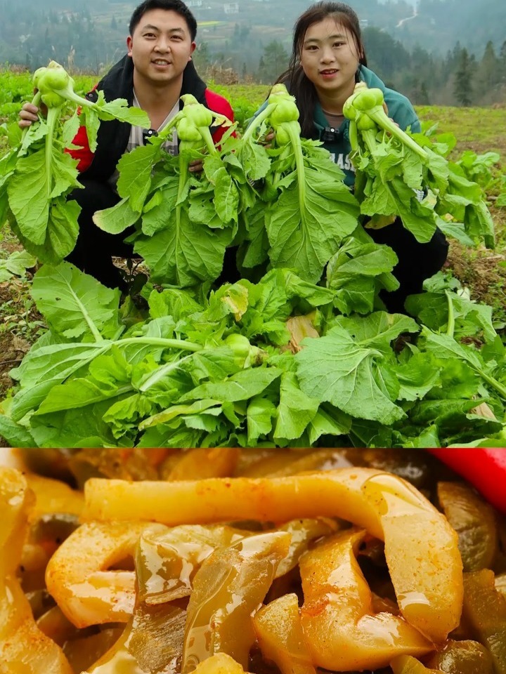 儿菜太多,拿回家做榨菜,很好吃哦