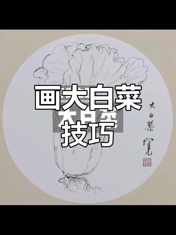 大白菜的历史与文化寓意