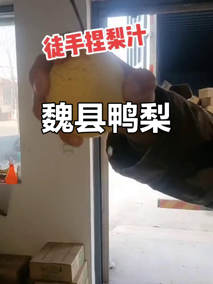 魏县鸭梨,口感鲜美,营养丰富,润肺解酒,美容养颜