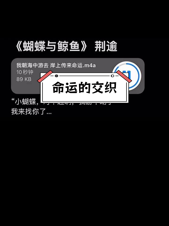 蝴蝶与鲸鱼的命运纠缠