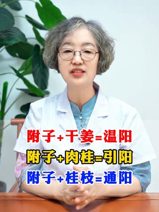 附子+干姜=温阳,附子+肉桂=引阳,附子+桂枝=通阳