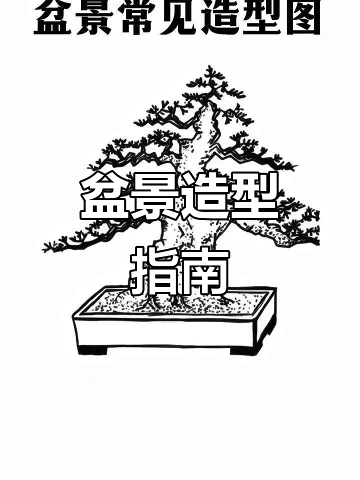 盆景造型大全,收藏参考!