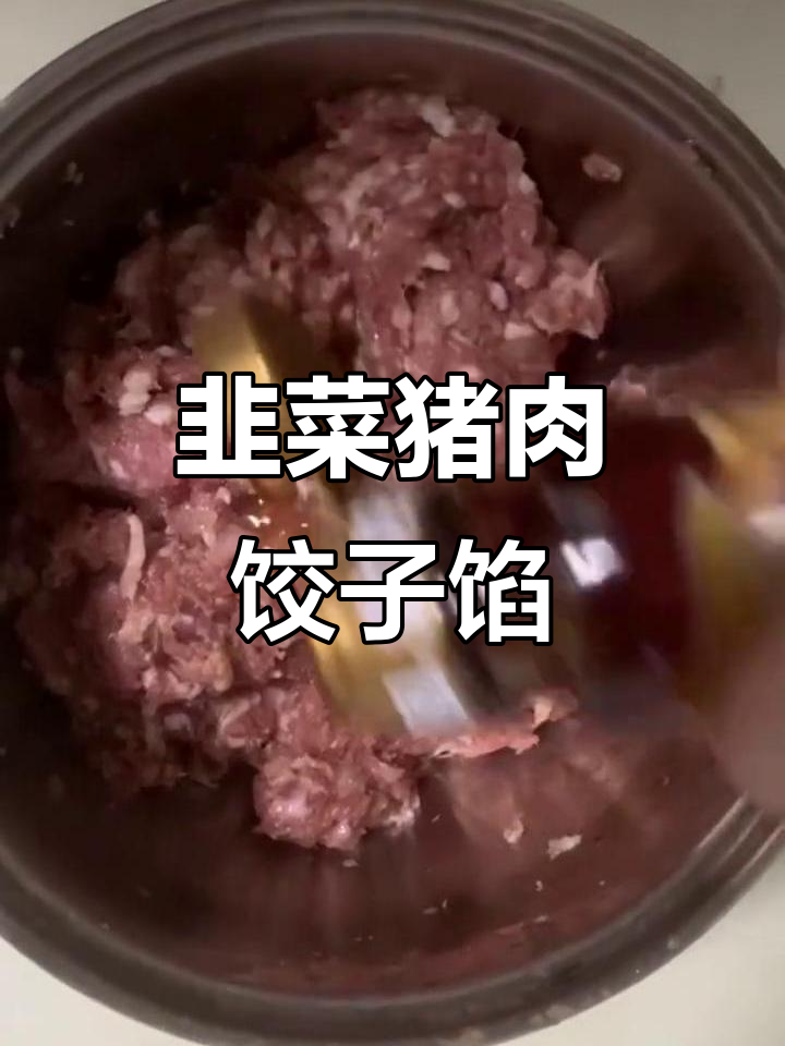 韭菜猪肉煎饺,鲜香四溢的肉馅做法大揭秘