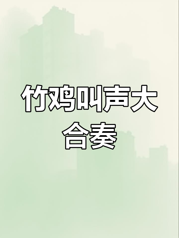 野生竹鸡鸣叫,公母齐声,群鸟呼应