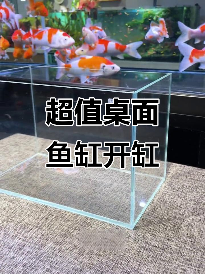 桌面小鱼缸开箱,超值30厘米缸搭配自制过滤器