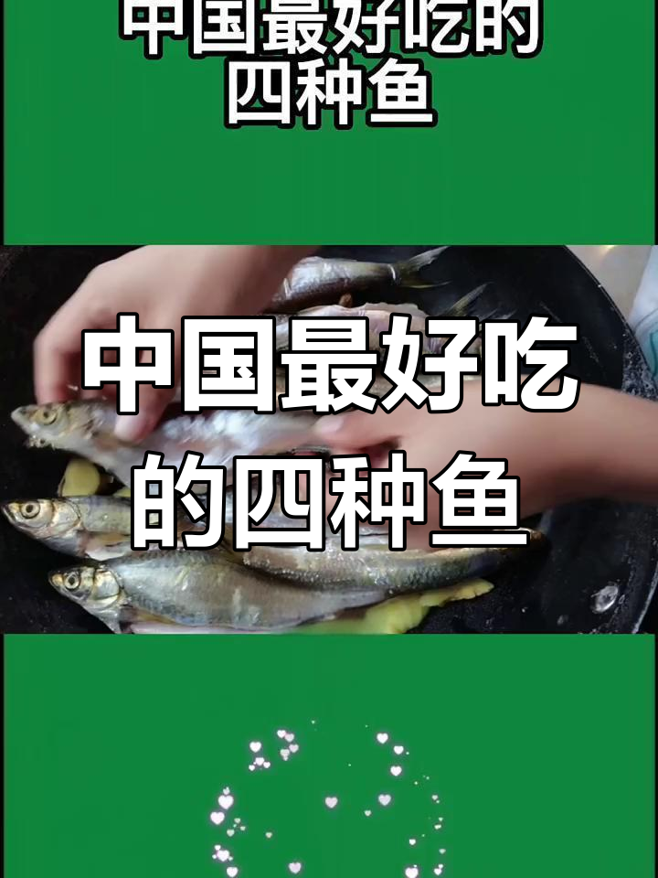 中国四大最美味的鱼类,香气扑鼻让人怀念