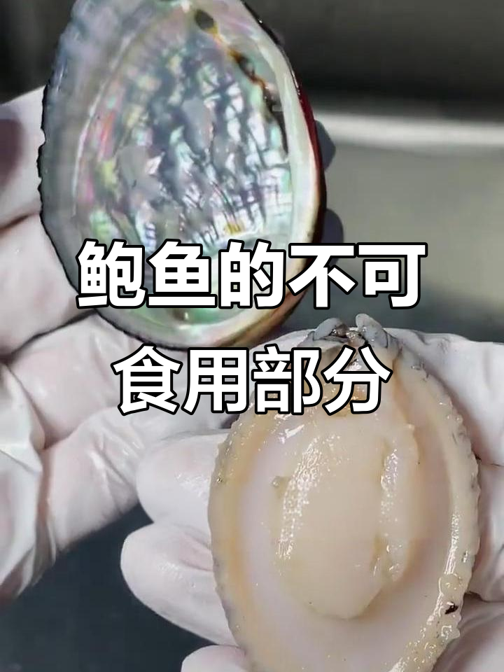 鲍鱼清洗技巧：哪些部位不能吃，教你轻松处理
