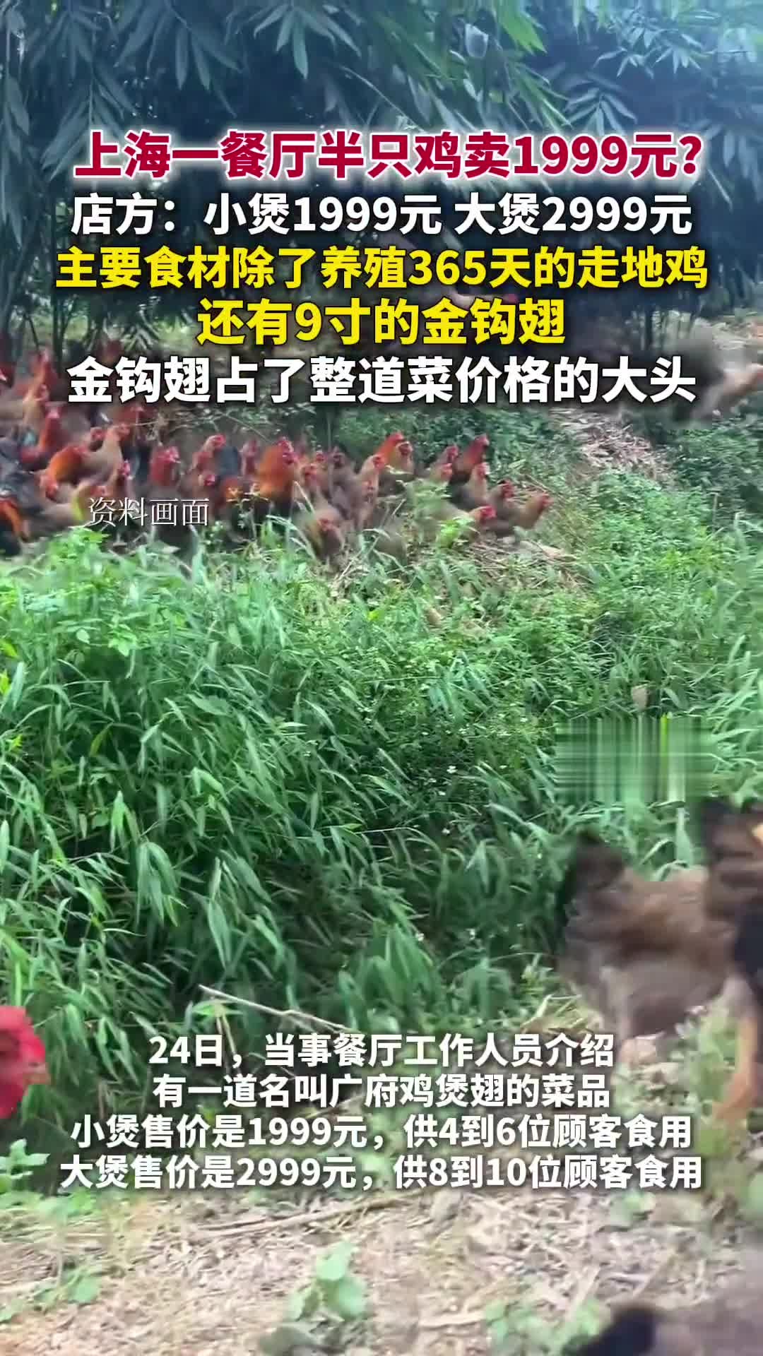上海一家餐厅半只鸡卖1999元?店方:主要食材除了鸡还有鱼翅,金钩翅占了价格大头