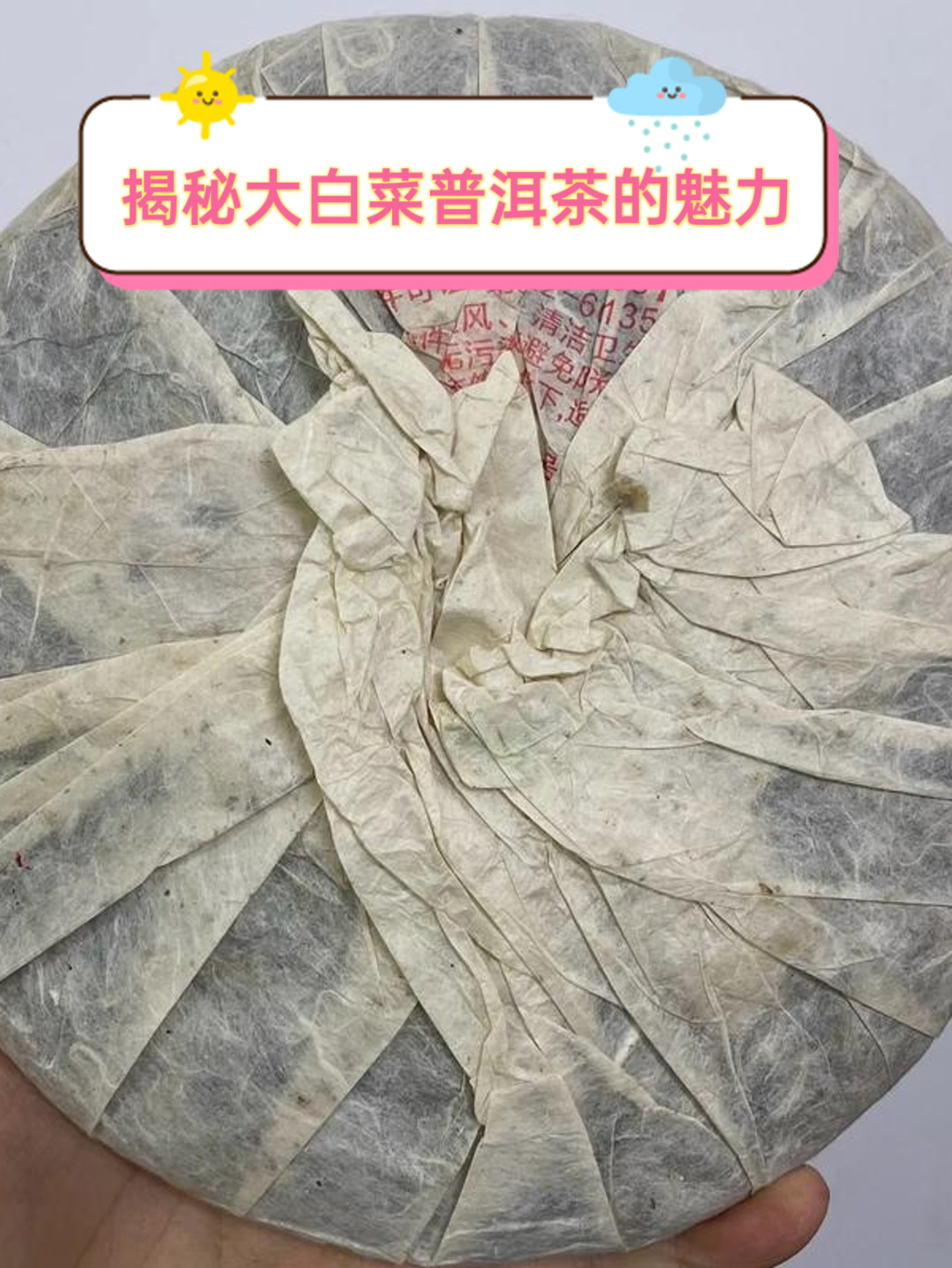 揭秘大白菜普洱茶的魅力