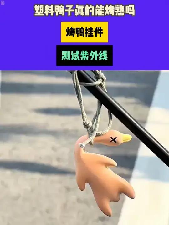 塑料鸭子真的能烤熟吗？烤鸭挂件测评测试紫外线原创视频涨知识-8.19