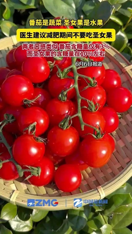 医生建议减肥期间不要吃圣女果 番茄和圣女果看似一样,但其实含糖量差距很大。北京协和医院临床