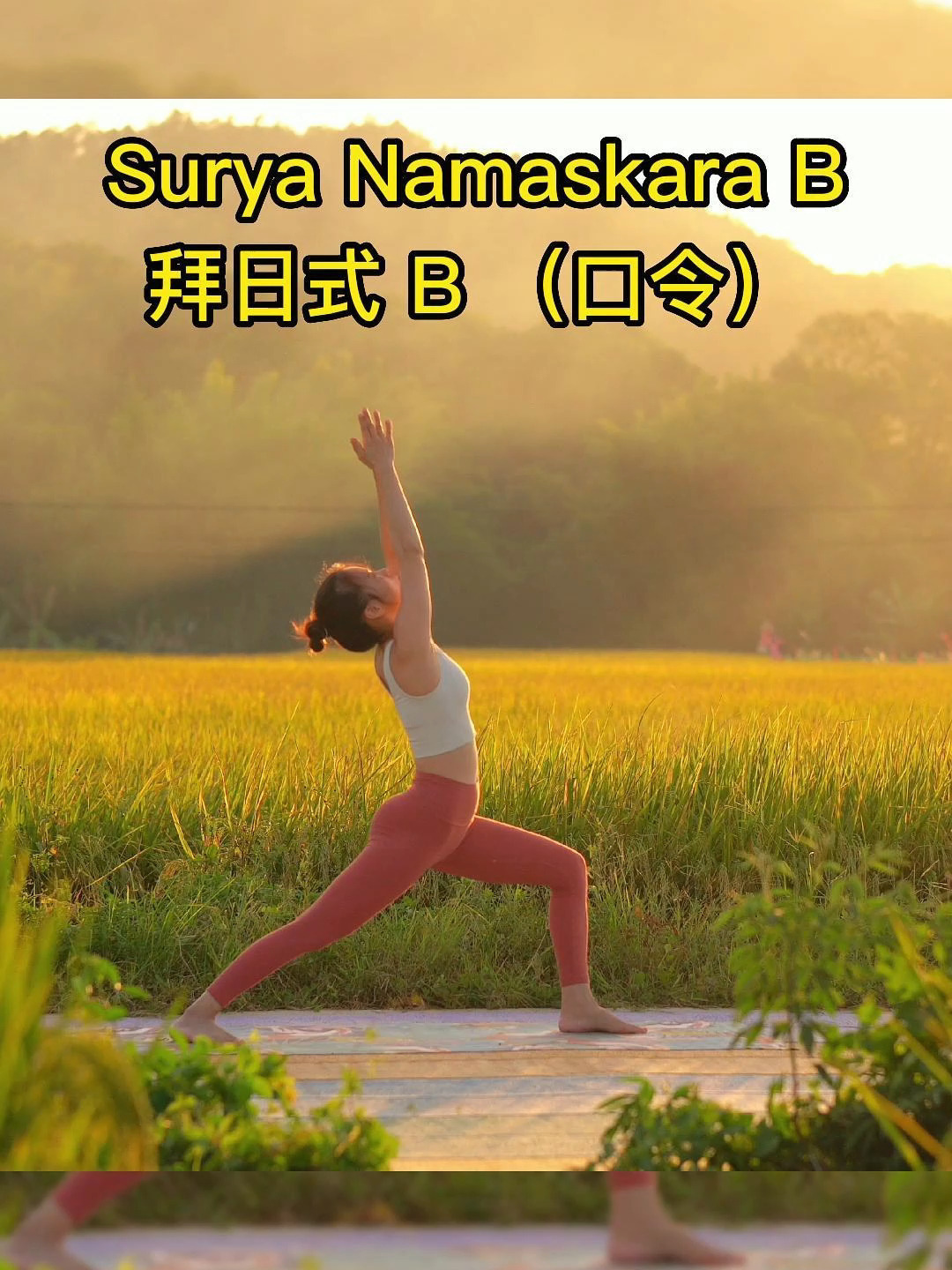 阿斯汤加拜日式B梵文计数口令|34/365天瑜伽