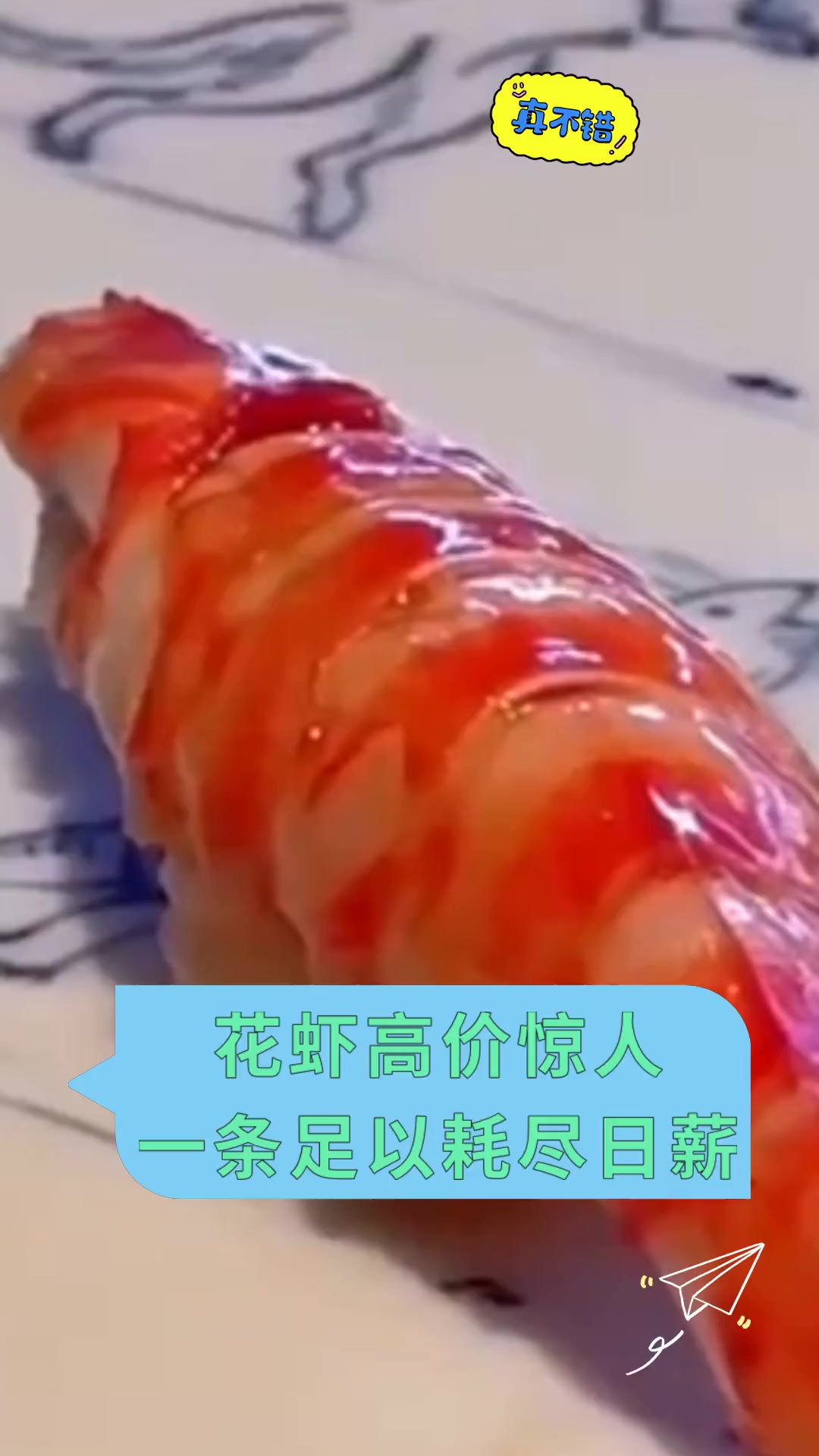 花虾高价惊人 一条足以耗尽日薪