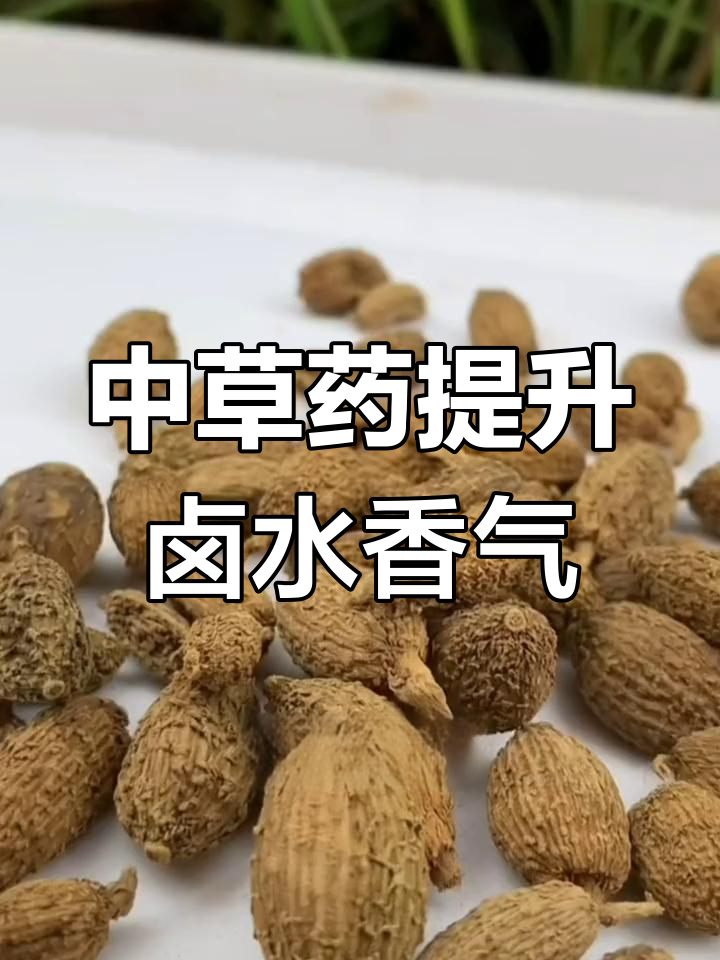 卤味中草药配方解析:不同香料的独特作用